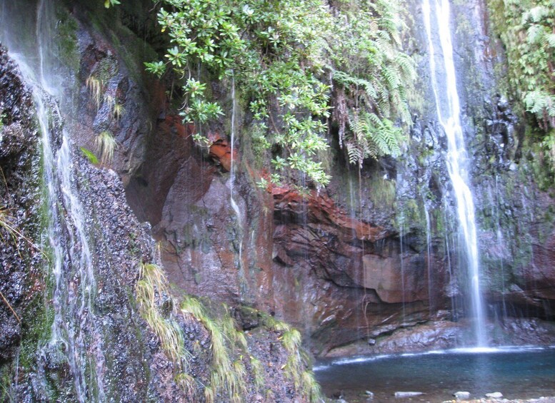 Picture 4 for Activity Madeira: Guided Full-Day Rabaçal Walk