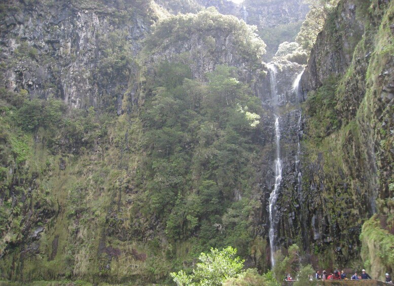 Picture 6 for Activity Madeira: Guided Full-Day Rabaçal Walk