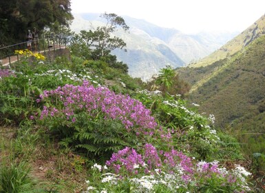 Madeira: begeleide dagwandeling door Rabaçal