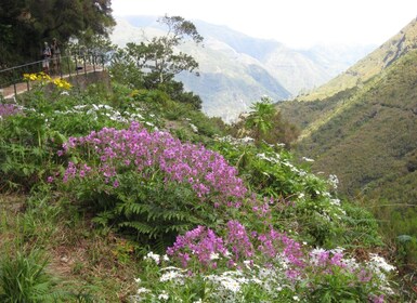 Madeira: Ganztägige geführte Rabaçal-Wanderung