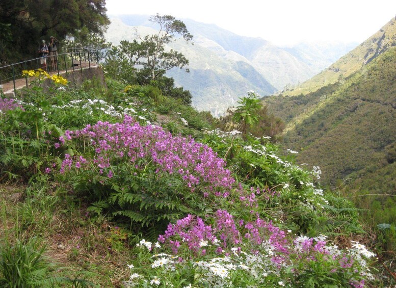 Madeira: Guided Full-Day Rabaçal Walk