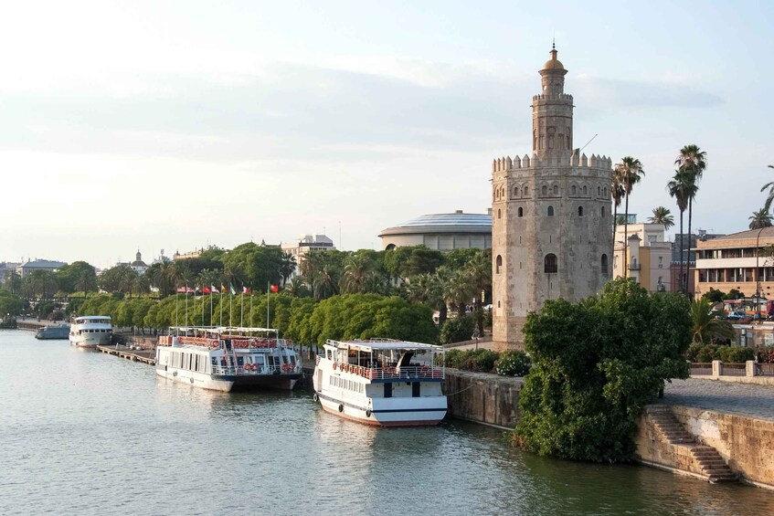 Picture 1 for Activity From Malaga: Guided Seville Day Trip