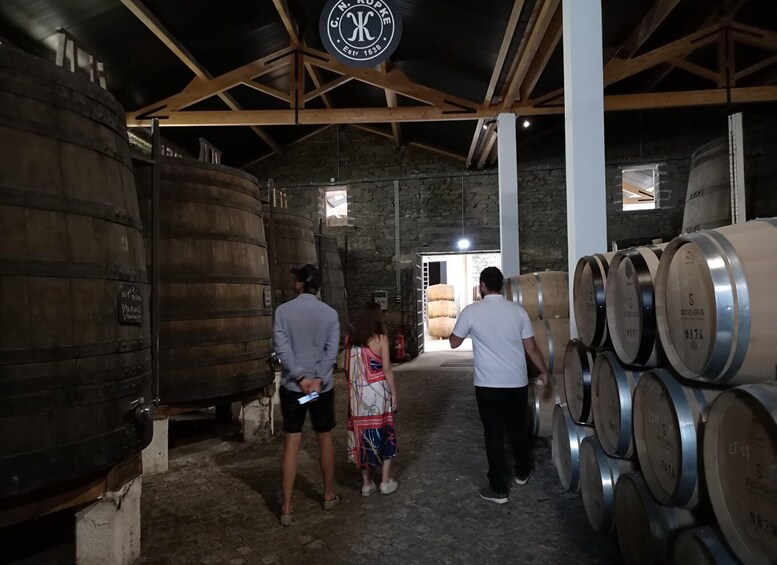 Picture 13 for Activity From Porto: Private Douro Cruise, 2 Wineries & Chef's Lunch