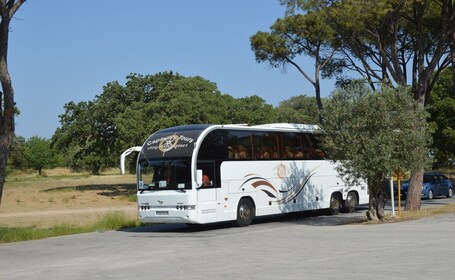 Depuis Rhodes : excursion en bus vers Lindos et les sept sources