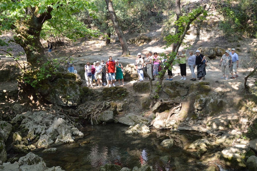 Picture 3 for Activity From Rhodes: Bus Tour to Lindos and the Seven Springs