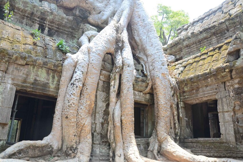 Two Day Angkor Sightseeing Tour from Siem Reap