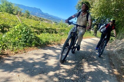 E-Bike tour and Wine tasting in the Austrian Fort from Pastrengo