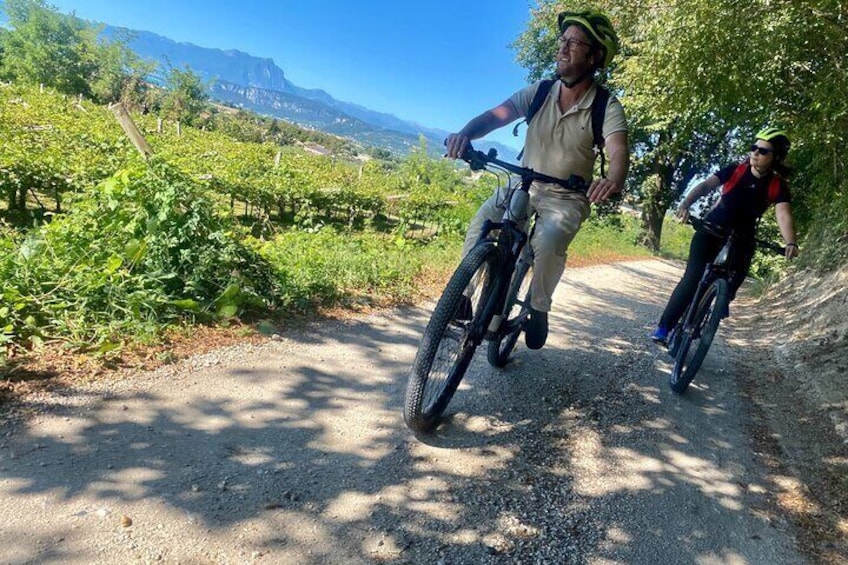 E-Bike tour and Wine tasting in the Austrian Fort from Pastrengo