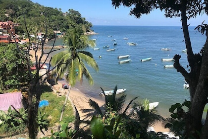 Puerto Vallarta's Yelapa Boat & Walking Tour with Tequila Tasting