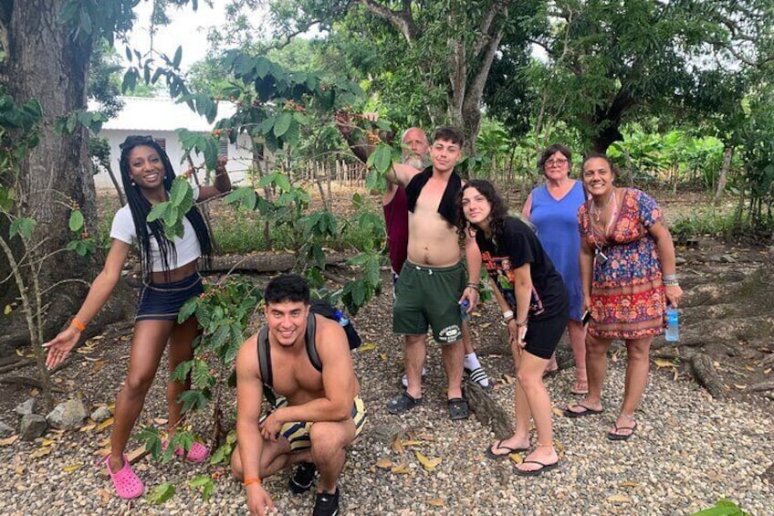 Tour To Damajagua Waterfalls