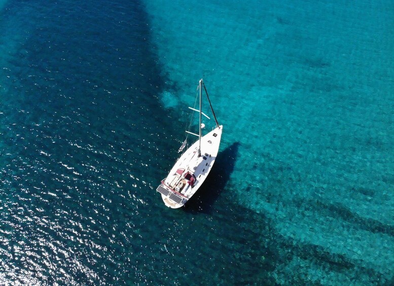 Picture 18 for Activity Barcelona: Sailing tours con bebidas y aperitivos.