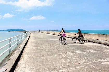 Private Half Day Cycling Tour in Langkawi