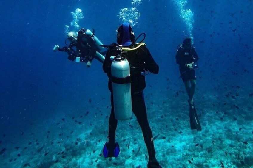 Discover Scuba Diving in Dharavandhoo
