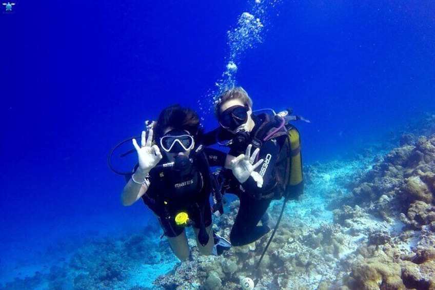 Discover Scuba Diving in Dharavandhoo