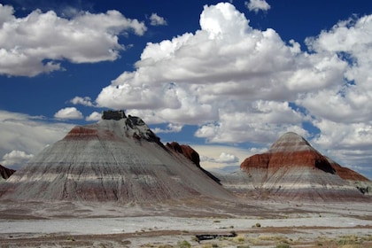 Petrified Forest Driving Tour: Selbstgeführte