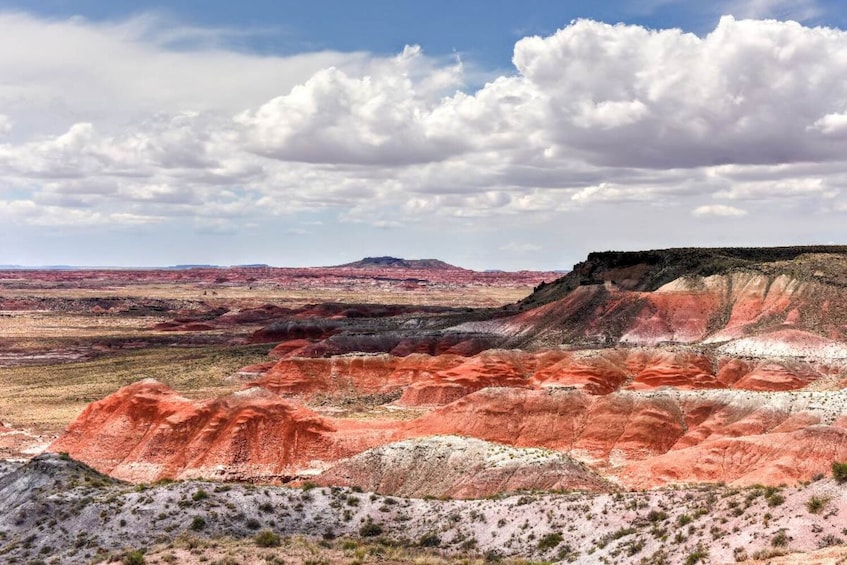 Petrified National Park Self-Guided Driving Audio Tour