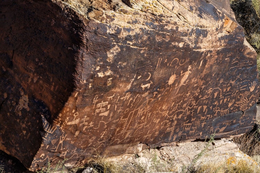 Petrified Forest Driving Tour: Self-Guided