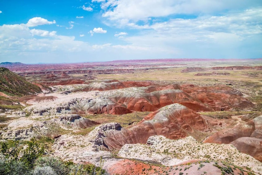 Petrified National Park Self-Guided Driving Audio Tour