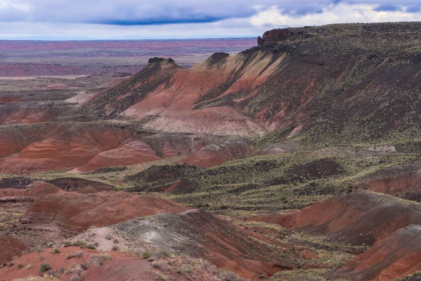 Petrified National Park Self-Guided Driving Audio Tour