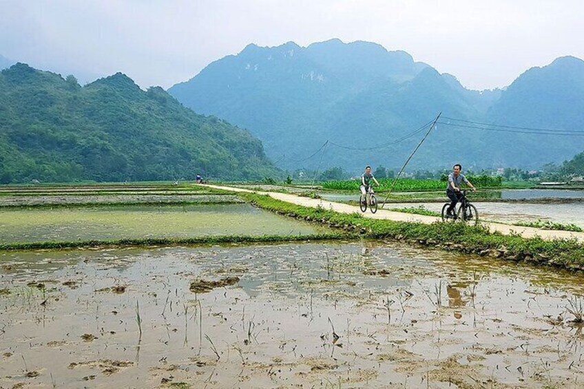 Off Road Trekking/ Biking Around Pu Luong Nature Reserv