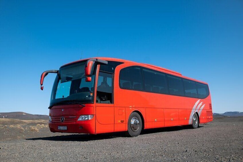 Our fantastic bus