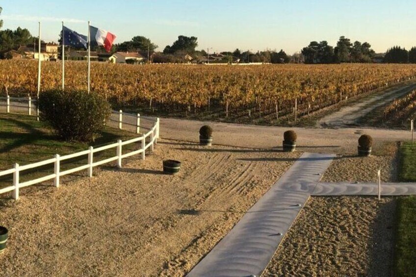 Medoc