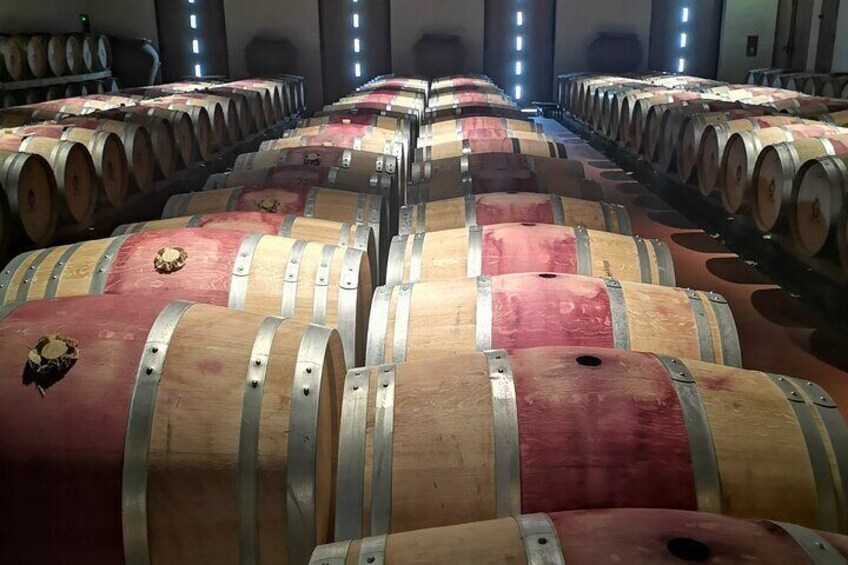 Medoc