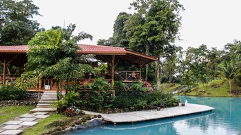 Kiwanda Maji Farm Tour with Rainforest Walk & Lunch