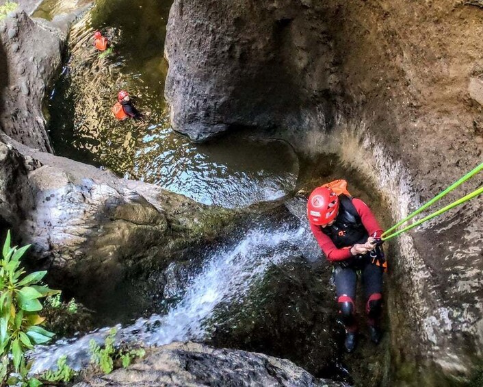 Tenerife: Guided Canyoning Experience