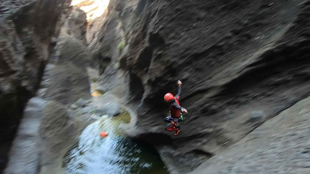 Picture 5 for Activity Tenerife: Guided Canyoning Experience
