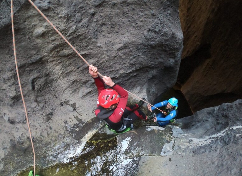 Picture 2 for Activity Tenerife: Guided Canyoning Experience