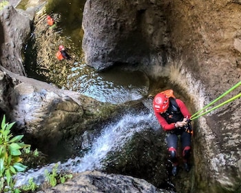 Teneriffa: Guidad upplevelse med kanyoning