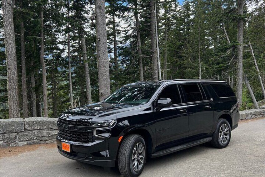 Mt Rainier Full day (LUXURY SUV GROUP OF 6 Max)