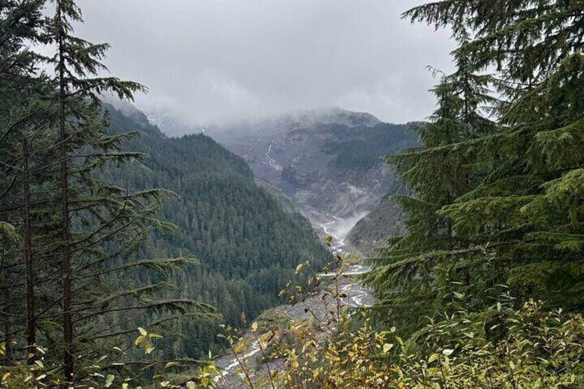 Mt Rainier Full day (LUXURY SUV GROUP OF 7 Max)