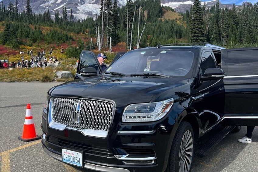 Mt Rainier Full day (LUXURY SUV GROUP OF 7 Max)