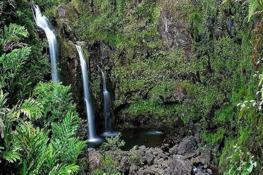 Tour 21A - Hana Rainforest & Waterfall Fun Tour from Maui