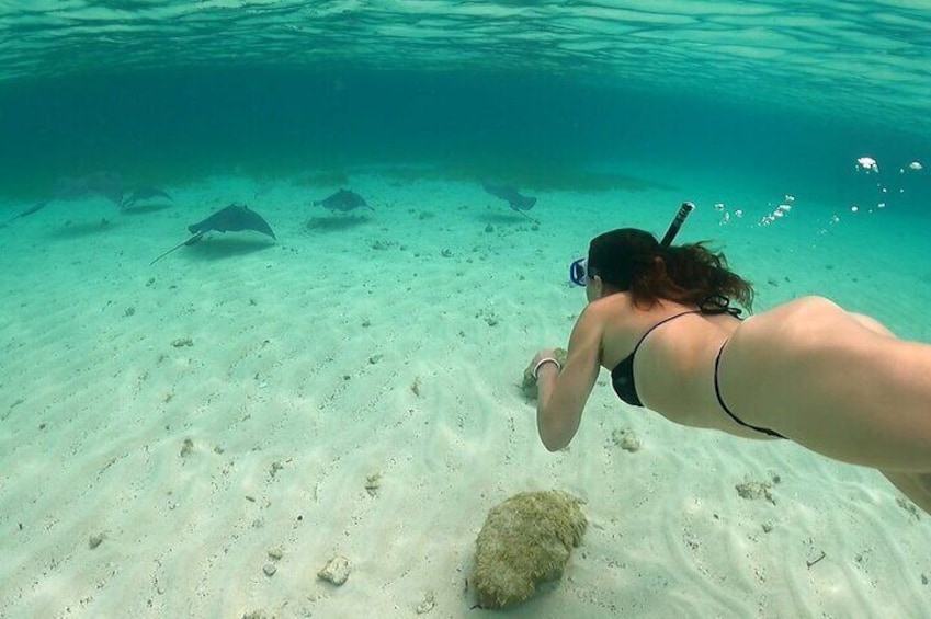 FAV 4 Adventure in Bimini Bahamas