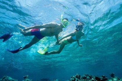 Beach Snorkeling Adventure in Lauderdale by the Sea
