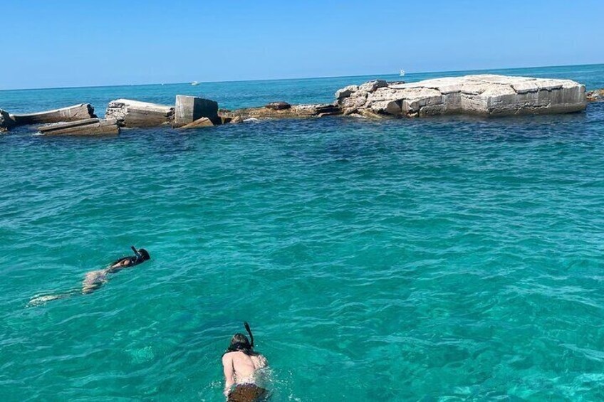  Snorkeling & Shelling Activity in Gulf of Mexico