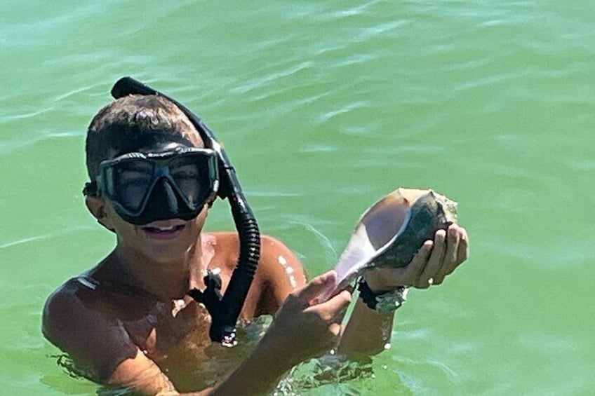  Snorkeling & Shelling Activity in Gulf of Mexico