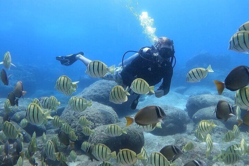 Beginner Scuba Experience with Free Video Package - Honolulu