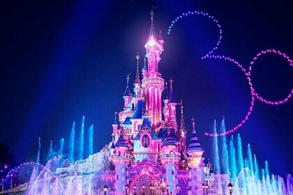 Paris Disneyland: 1-Day Entry Ticket with Private Transfer