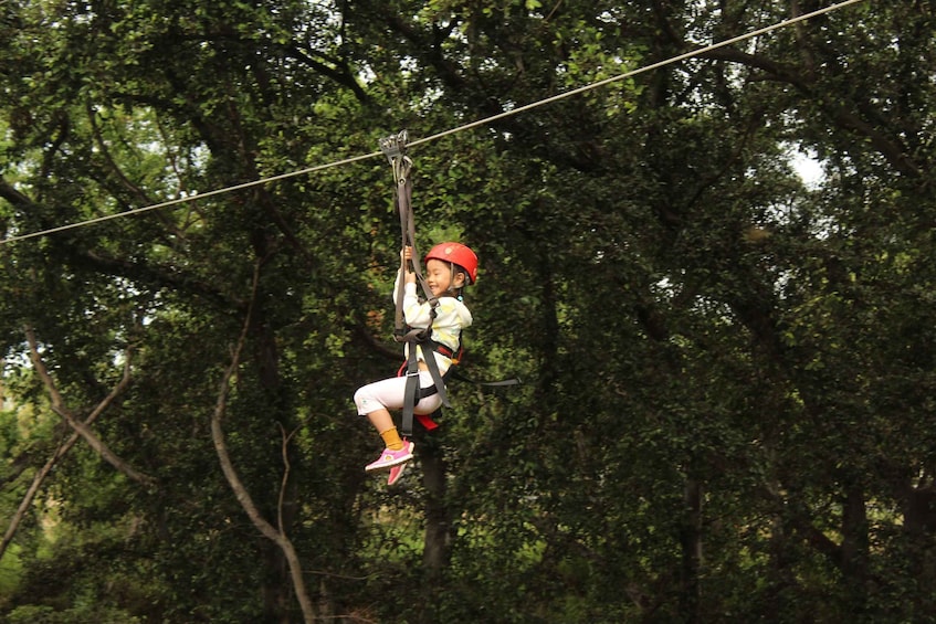 Picture 1 for Activity Oahu: 3 Ziplines and Coral Crater Tour with Transfer