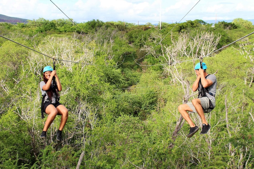 Picture 2 for Activity Oahu: 3 Ziplines and Coral Crater Tour with Transfer