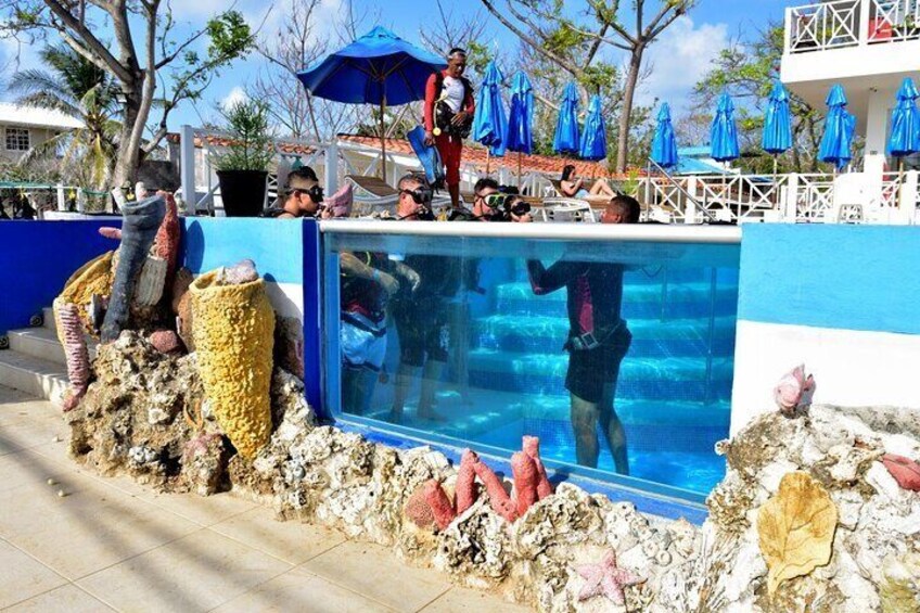 Adventure and 4-hour Diving Course in San Andres Island