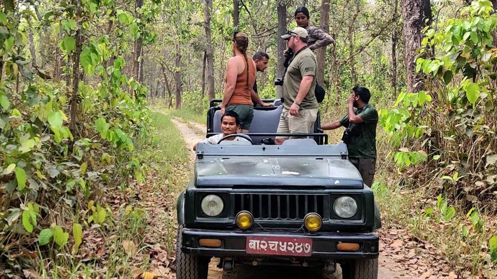 Picture 2 for Activity From kathmandu: Guided 3-Days Bardia National Park Tour