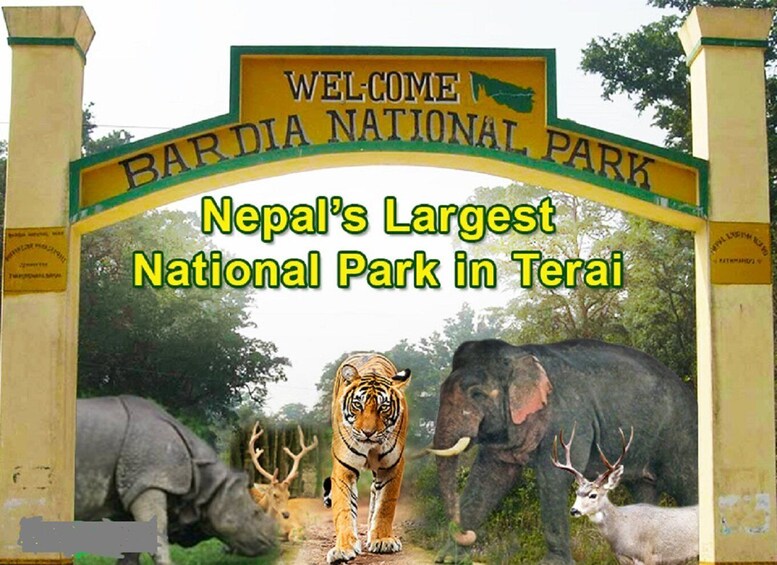 Picture 14 for Activity From kathmandu: Guided 3-Days Bardia National Park Tour