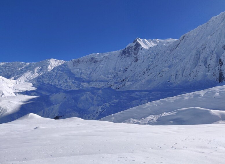 Picture 7 for Activity Pokhara: 7 Day Annapurna Base Camp Trek