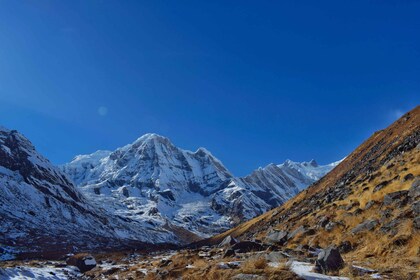 Pokhara: 7 dagars vandring till Annapurnas basläger