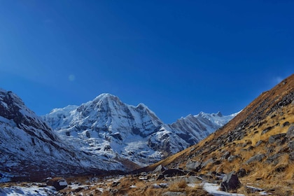 Pokhara: 7 Day Annapurna Base Camp Trek
